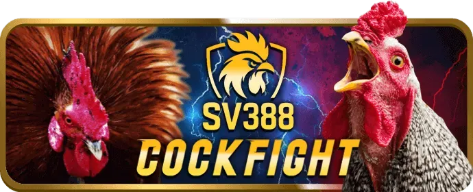 Biểu đồ tỷ lệ kèo hấp dẫn tại 889club